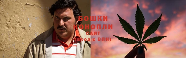 шишки Алексеевка