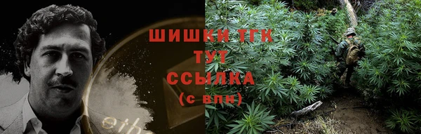 шишки Алексеевка