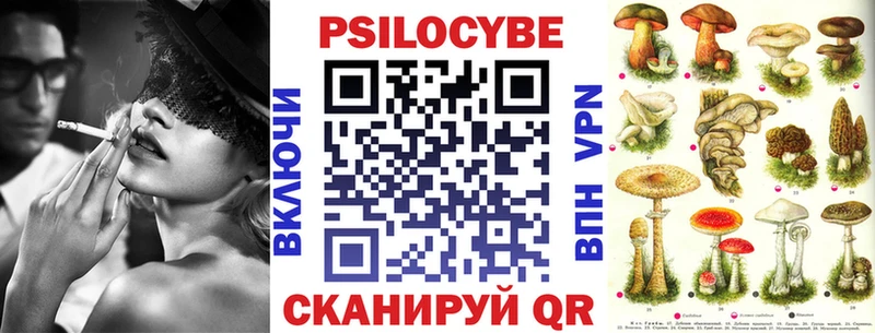Псилоцибиновые грибы прущие грибы  Чаплыгин 